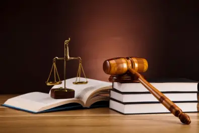 Marka, Patent ve Tasarım  İtiraz Süreçleri